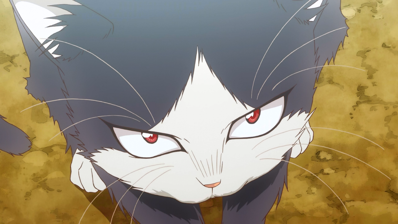 Doukyonin wa Hiza, Tokidoki, Atama no Ue (PuyaSubs!)